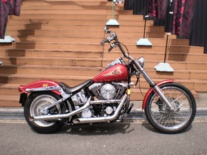 110909 FXSTC.JPG